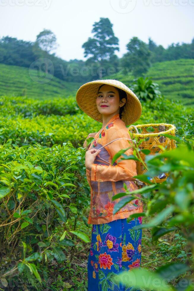 een Indonesisch vrouw werken net zo een thee plantage boer vervelend een oranje overhemd foto