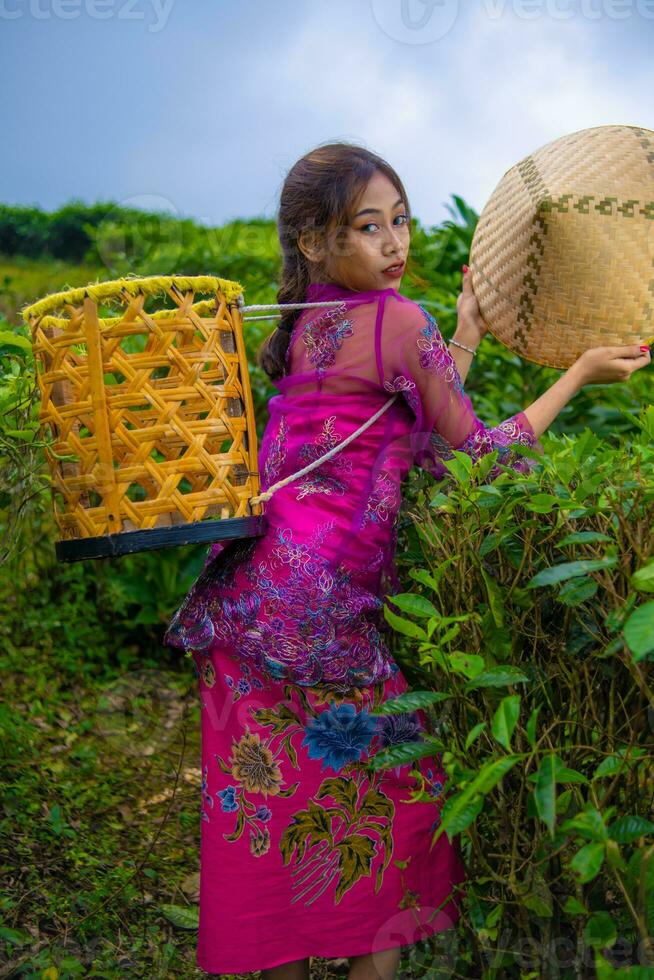 een Vietnamees meisje is staand in de midden- van een thee tuin terwijl draag- een bamboe mand en Holding een bamboe hoed foto