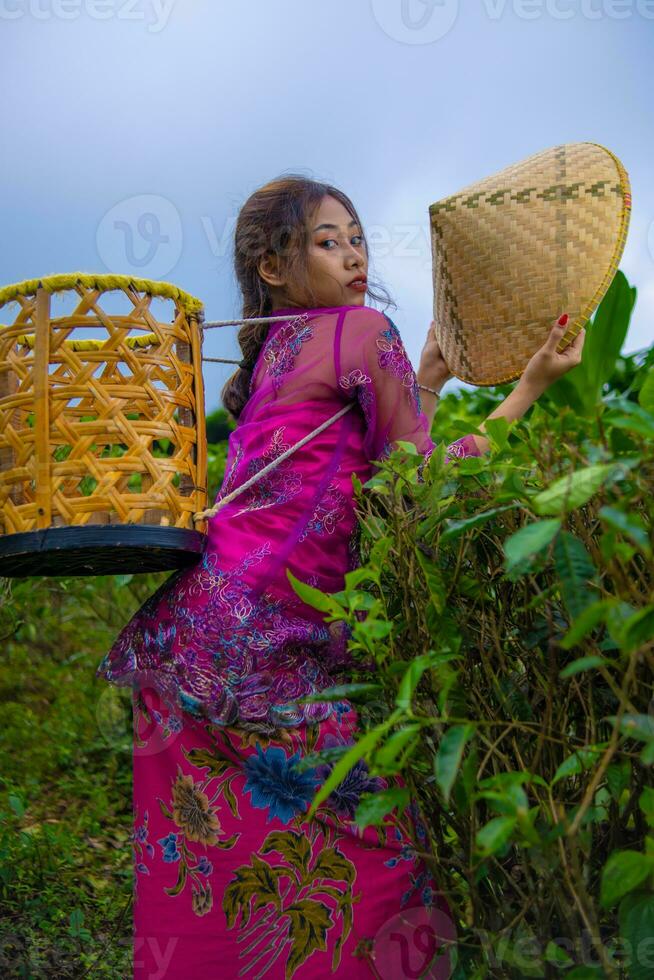 een Vietnamees meisje is staand in de midden- van een thee tuin terwijl draag- een bamboe mand en Holding een bamboe hoed foto