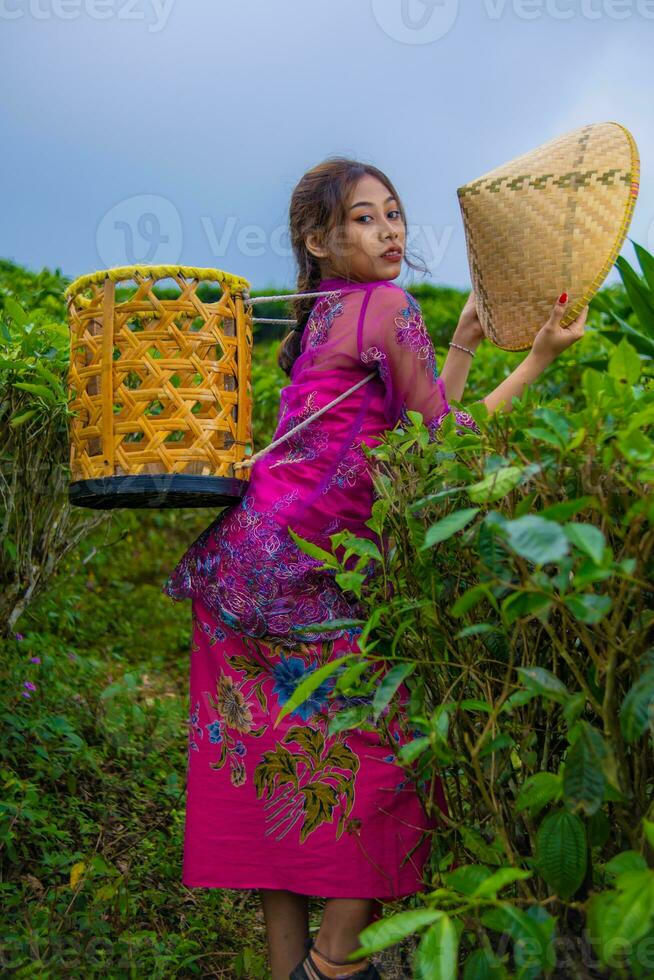 een Vietnamees meisje is staand in de midden- van een thee tuin terwijl draag- een bamboe mand en Holding een bamboe hoed foto