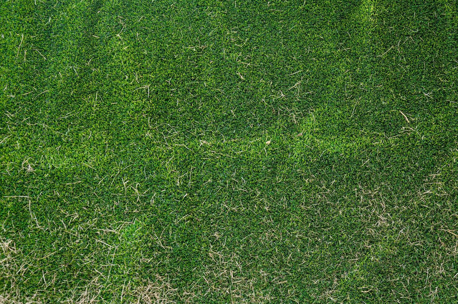 kunstmatig groen gras en droog gras voor achtergrond foto