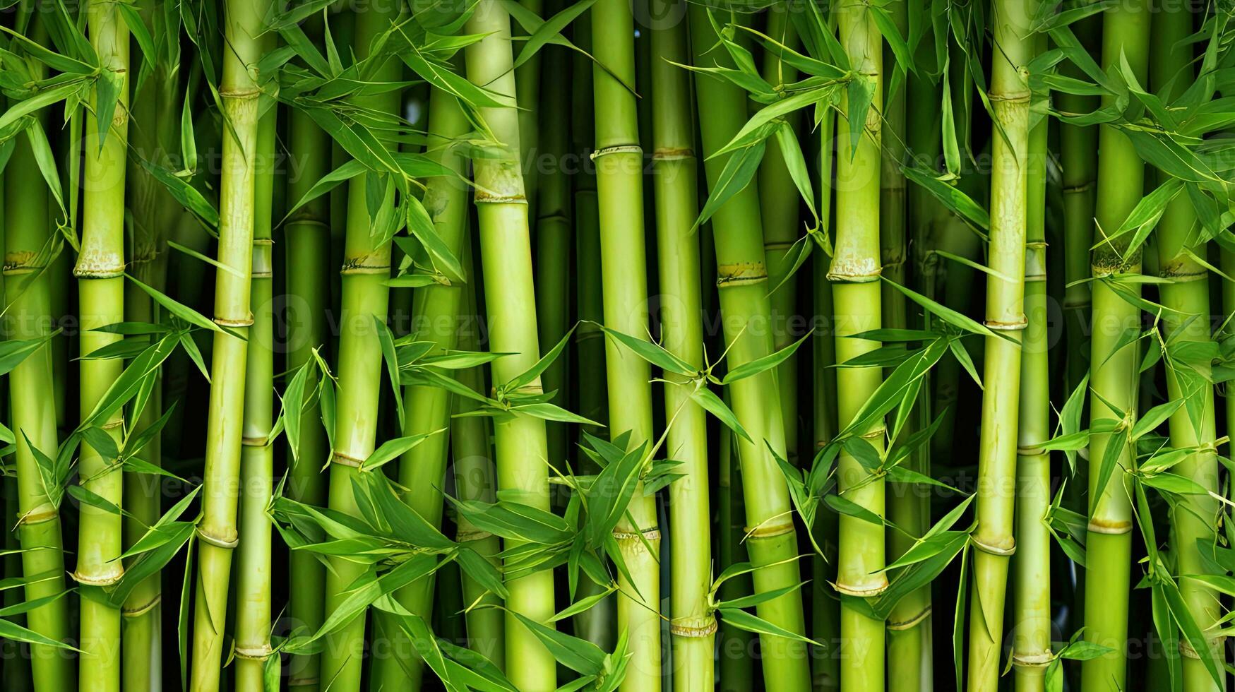 jong tropisch bamboe schiet illustratie. tropisch Woud boom Aziatisch oerwoud . foto