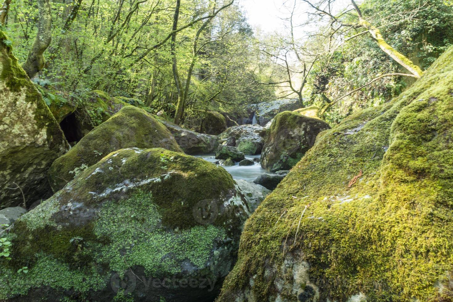 rivier van fosso castello in soriano nel cimino viterbo foto