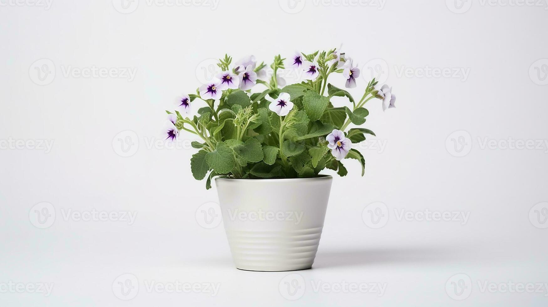 foto van nemesia bloem in pot geïsoleerd Aan wit achtergrond. generatief ai