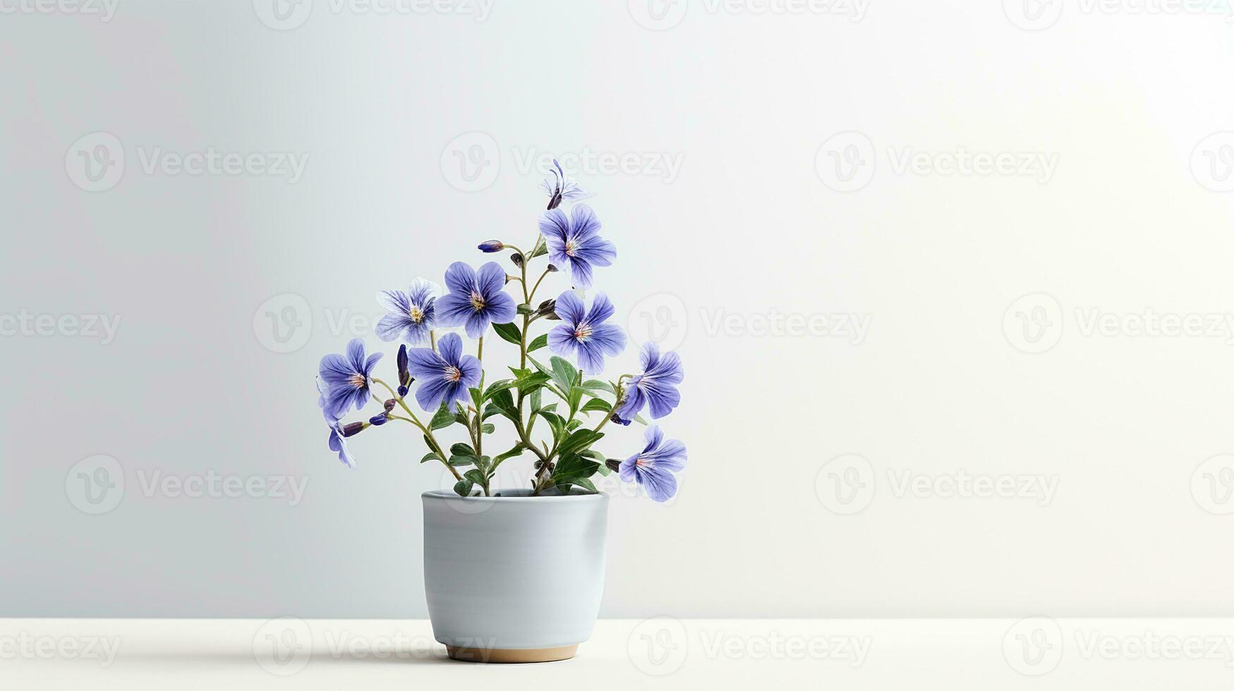 foto van jacobs ladder bloem in pot geïsoleerd Aan wit achtergrond. generatief ai