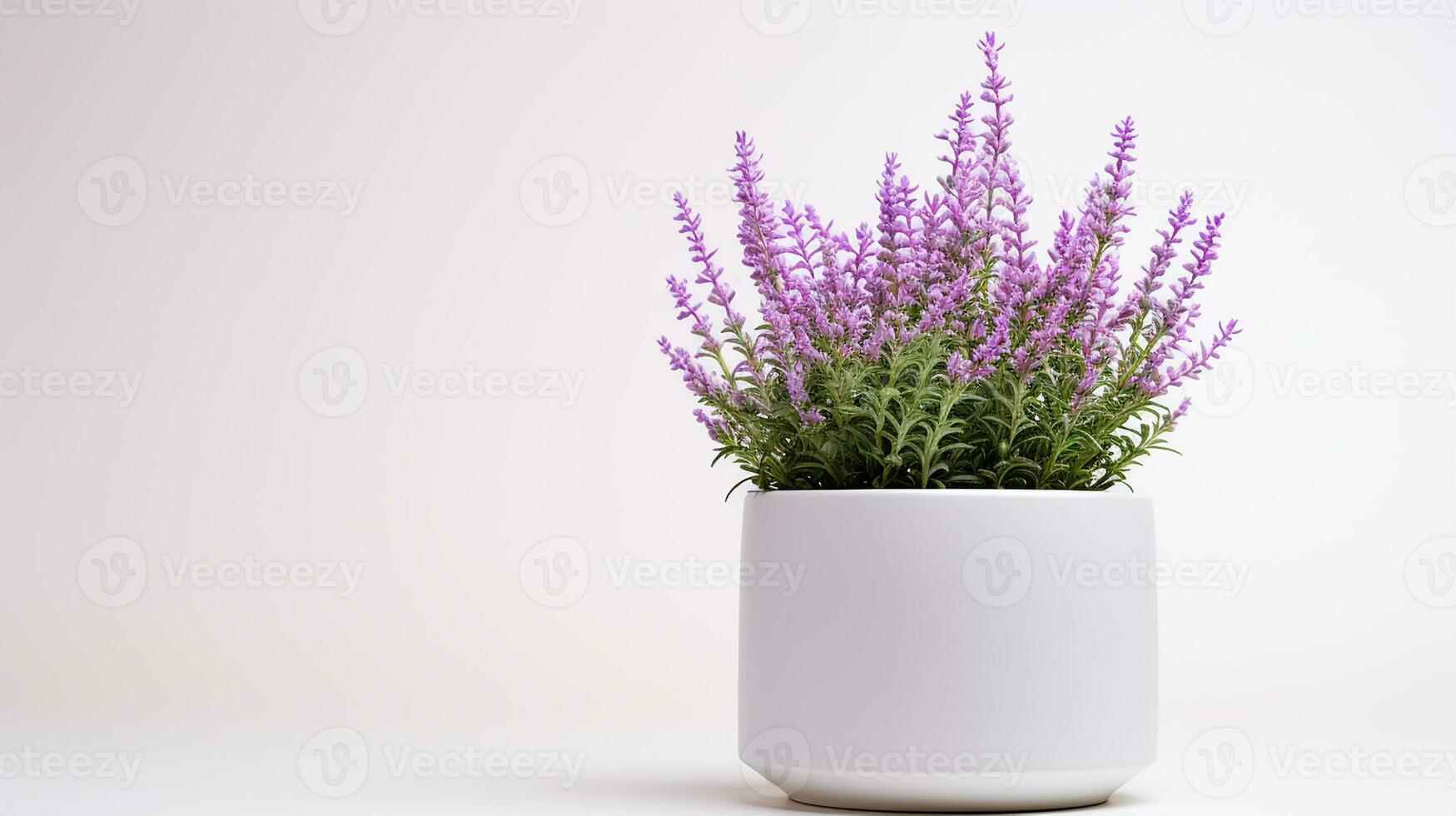 foto van heide bloem in pot geïsoleerd Aan wit achtergrond. generatief ai