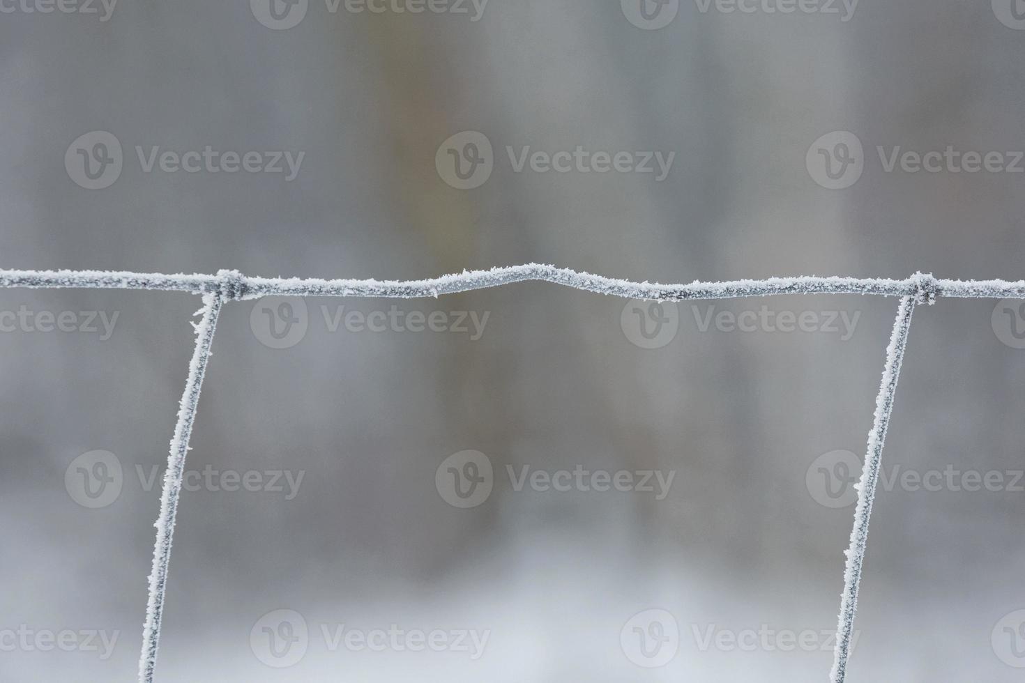 vorst op het ijzeren rooster foto