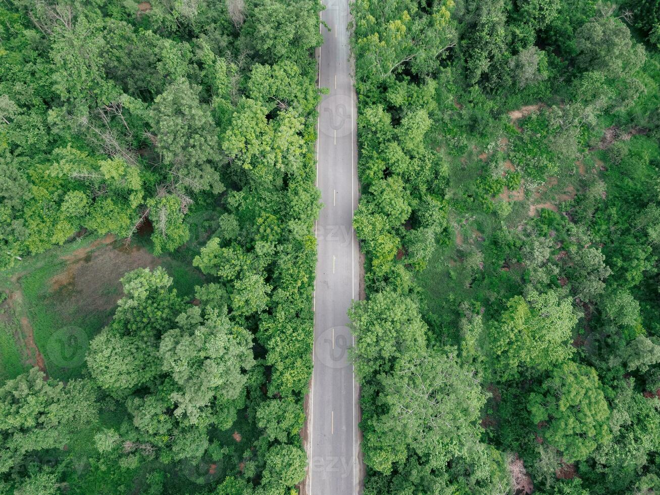 antenne visie van weg in groen Woud. verbazingwekkend landschap met landelijk weg foto