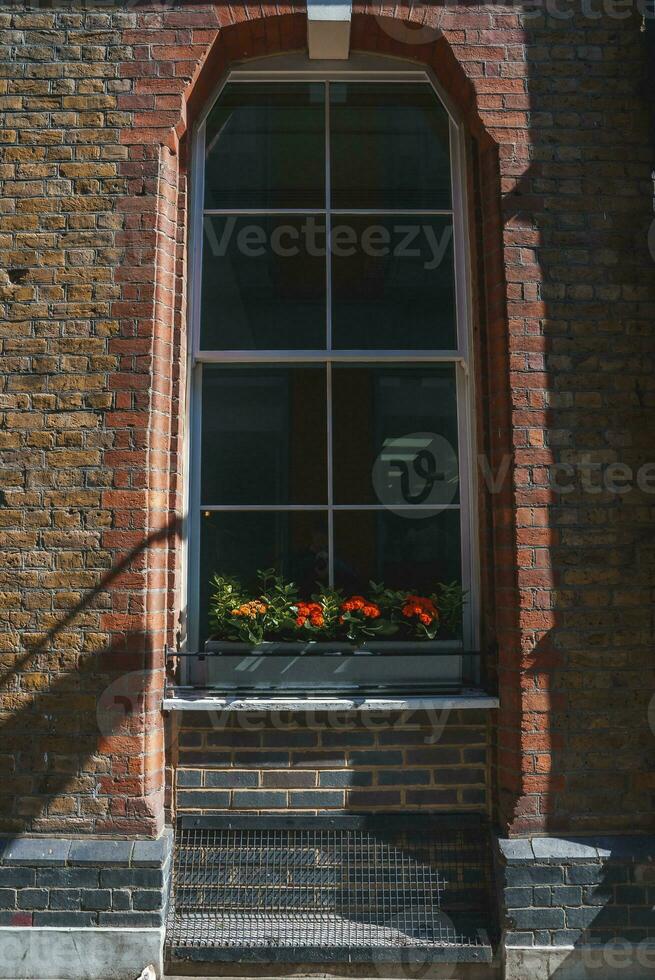 bloemen groeit Aan venster deelvenster van oud gebouw in stad gedurende zonnig dag foto