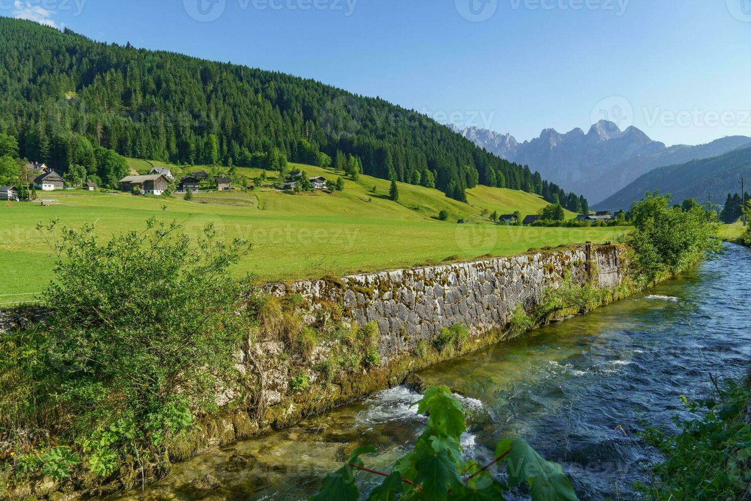 zomer tijd in prachtig Oostenrijk foto