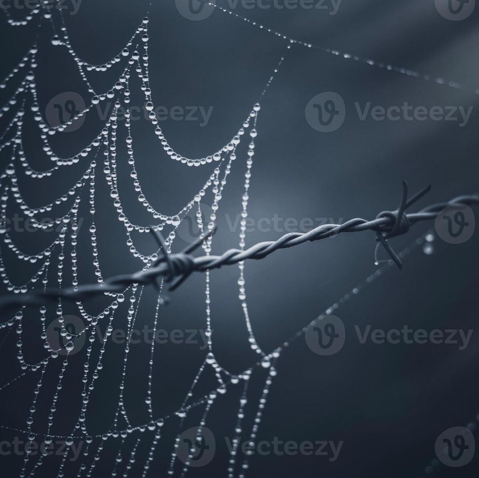 spin op het spinnenweb foto