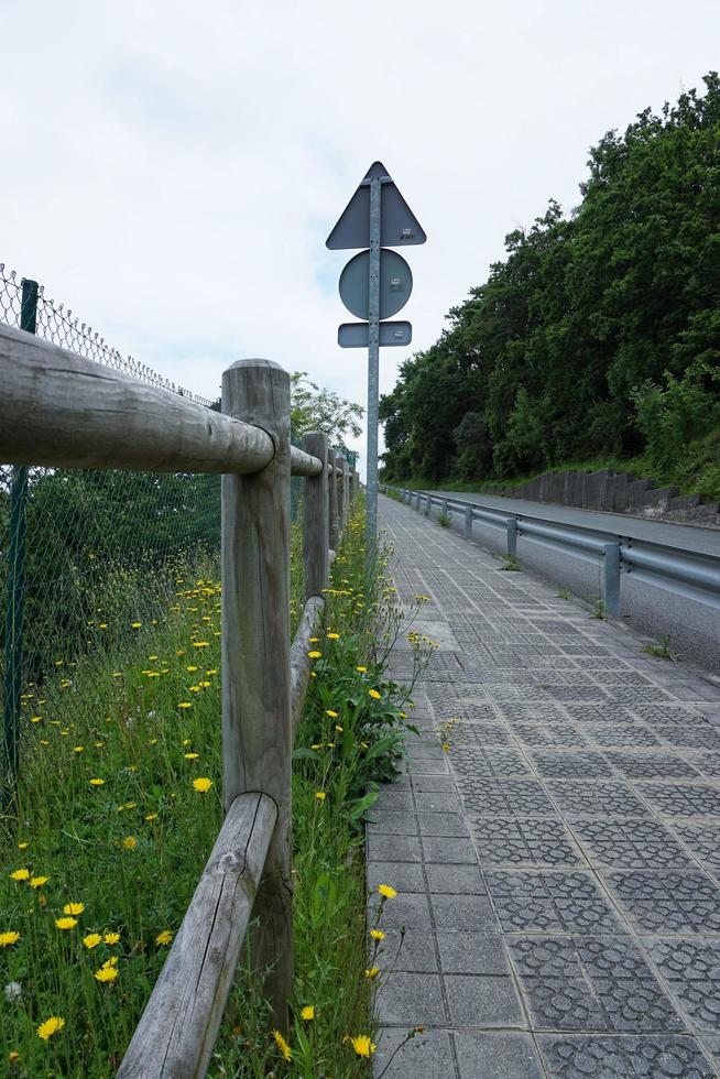 weg met groene vegetatie in het bos foto