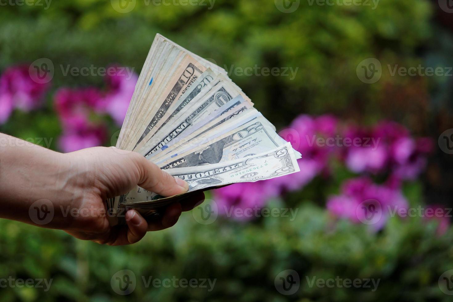 hand van een vrouw met bankbiljetten van Amerikaanse dollars in een tuin foto