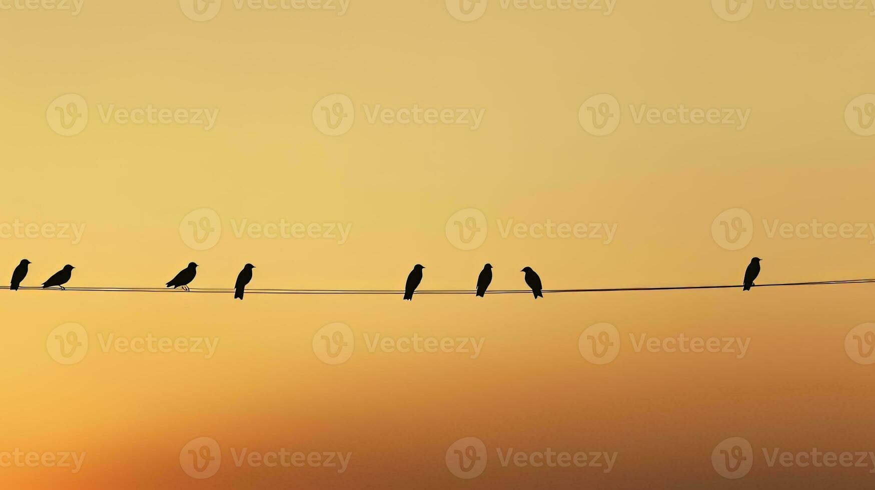 ideaal achtergrond voor minimalistische vogel silhouet fotografie foto