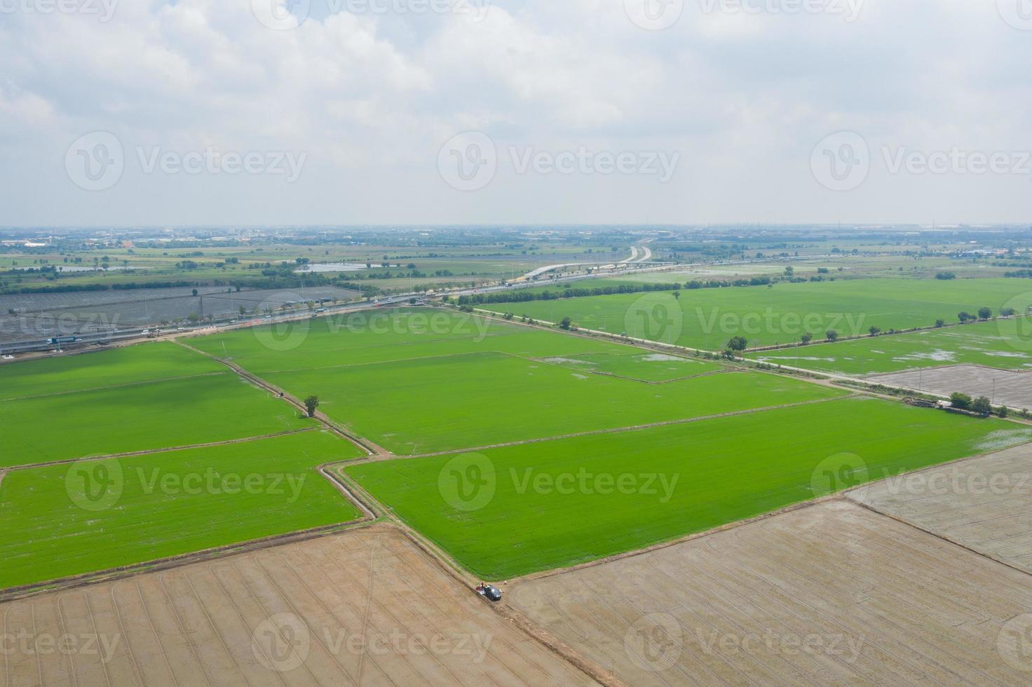 luchtfoto van vliegende drone van veldrijst met landschaps groen patroon natuur achtergrond, bovenaanzicht veldrijst foto