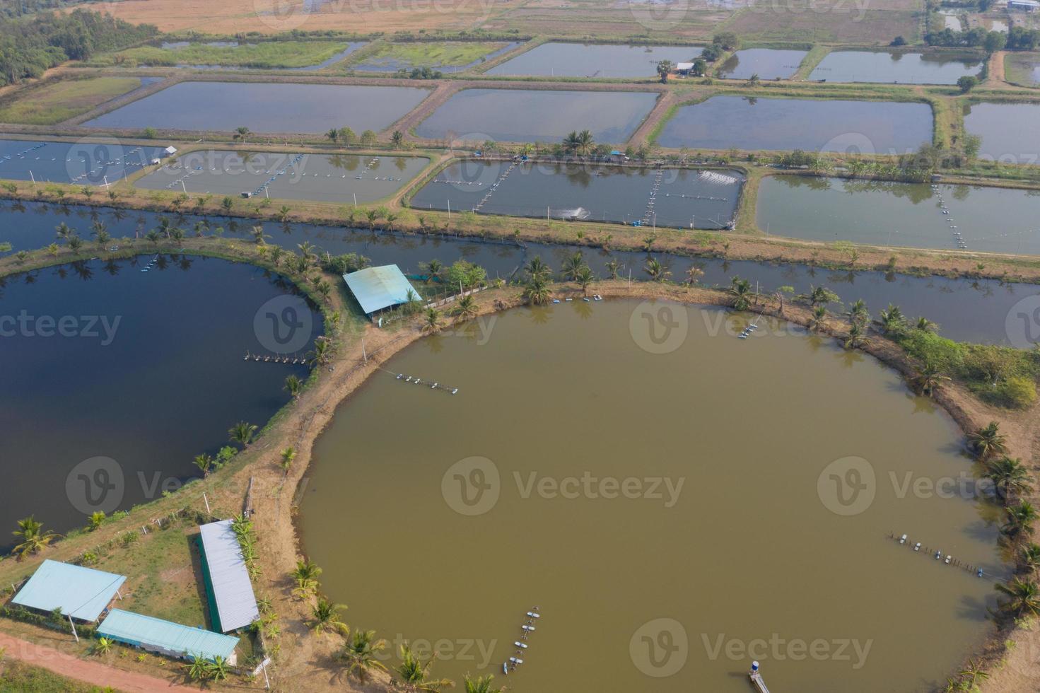 luchtfoto van vliegende drone van visvijver, viskwekerij foto