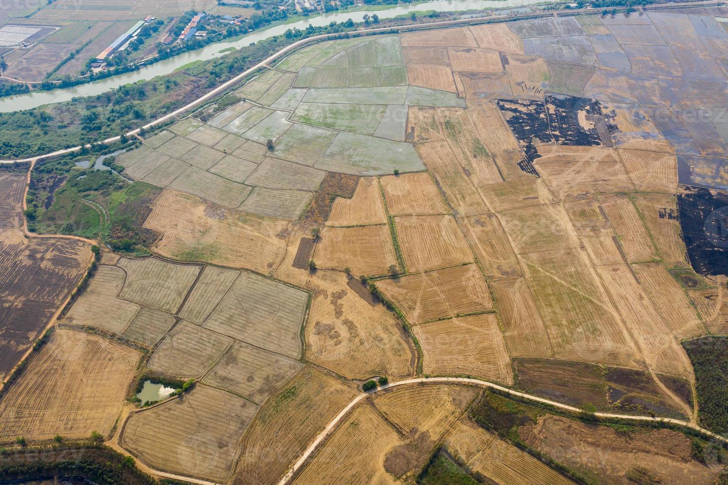 luchtfoto van vliegende drone van veldrijst met landschaps groen patroon natuur achtergrond, bovenaanzicht veldrijst foto