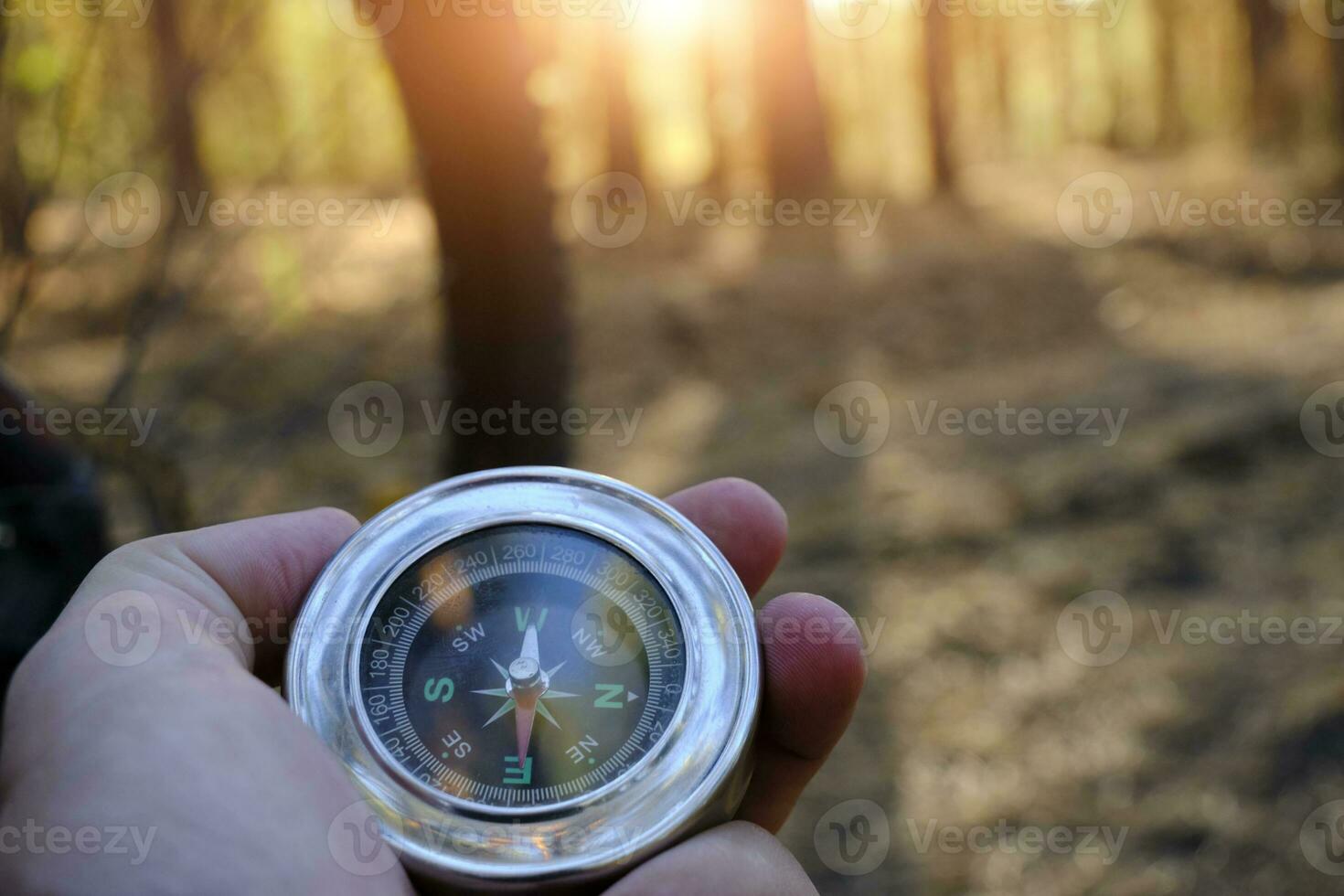 reizen met kompas in hand- in pijnboom zonnig Woud. foto