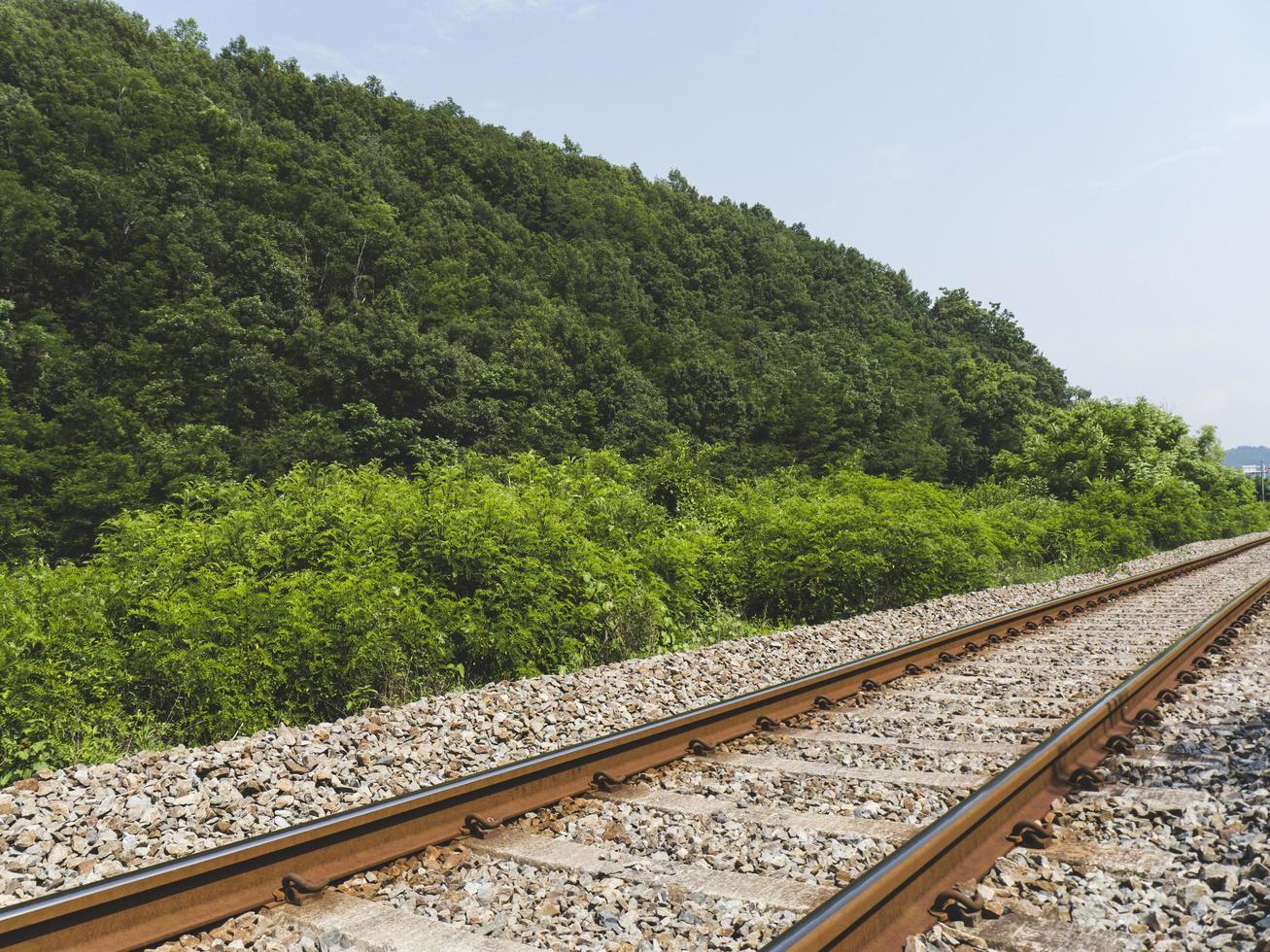 spoorlijnen in het bos. Zuid-Korea foto