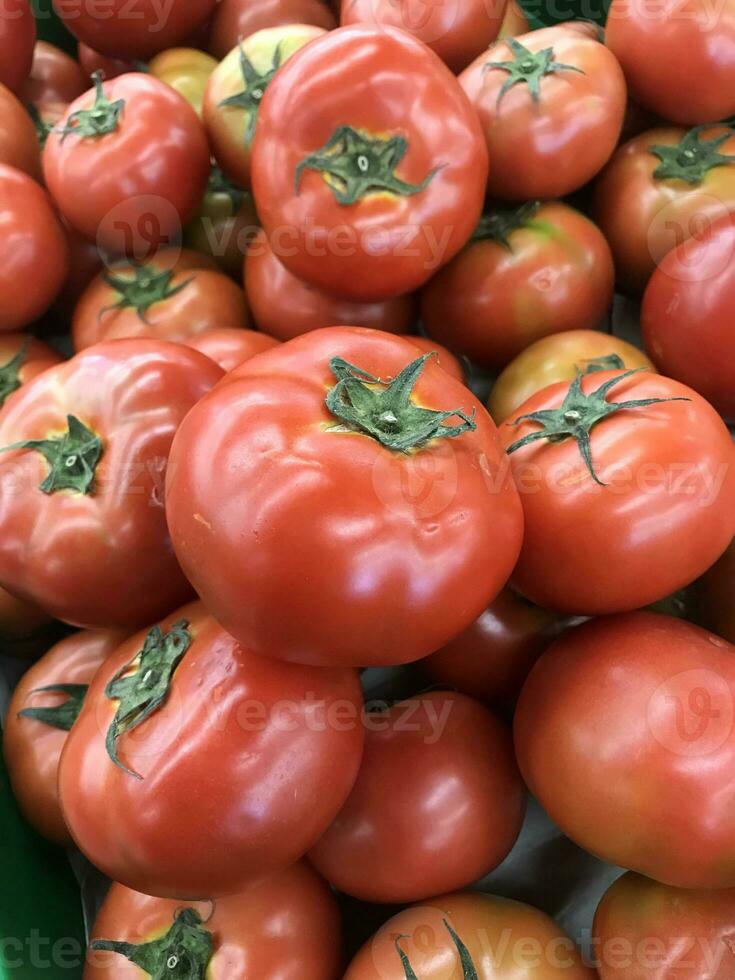 de stapel van vers rood tomaten van de oogst in de tuin. geoogst fruit en groenten, vers en smakelijk. klaar naar worden verkocht Aan de markt. foto