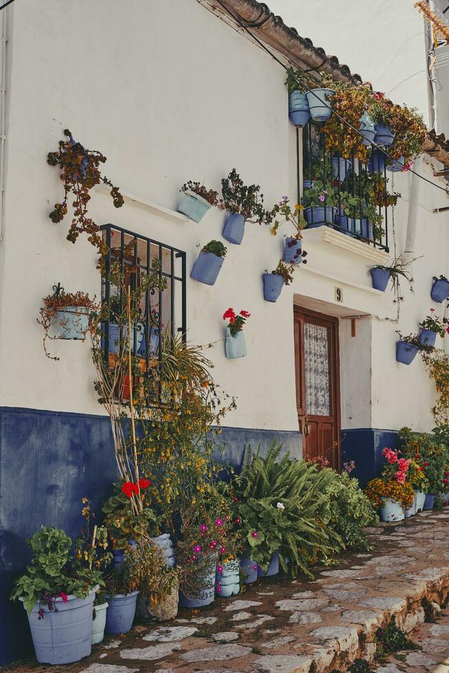 traditioneel straat in de oud stad- van Grazalema, Spanje, met bloemen. geranium. foto