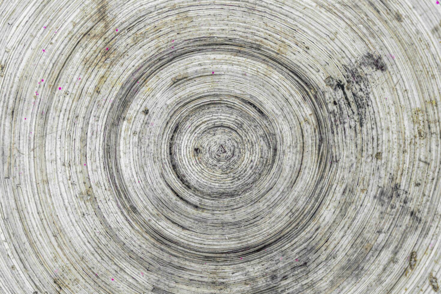 detailopname van een spiraal vormig structuur Aan een houten paneel - oud houten bord achtergrond foto