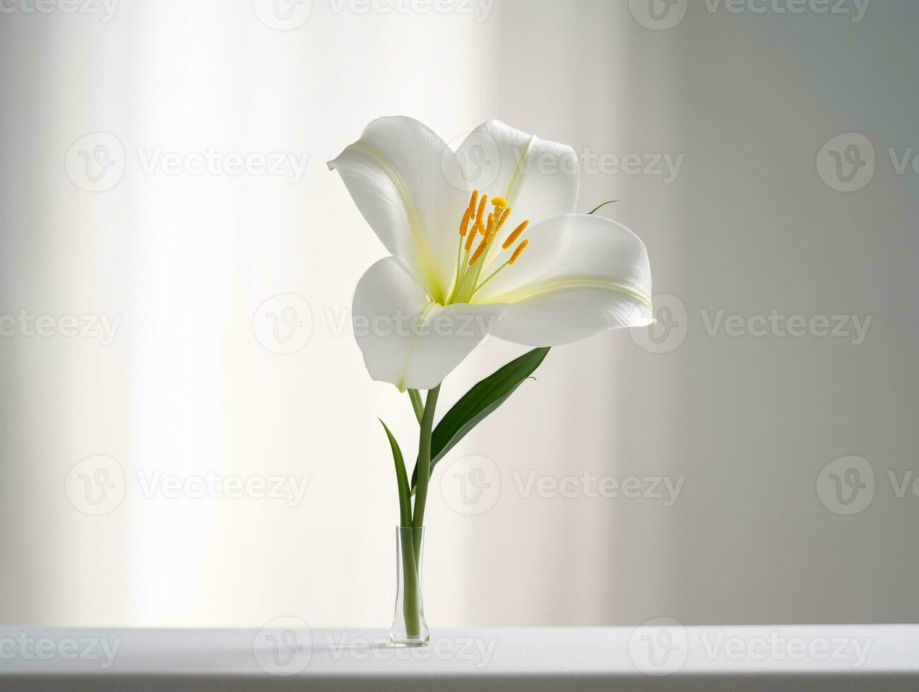 schoonheid in contrast - een opvallend wit lelie Aan een zacht wit achtergrond - ai gegenereerd foto