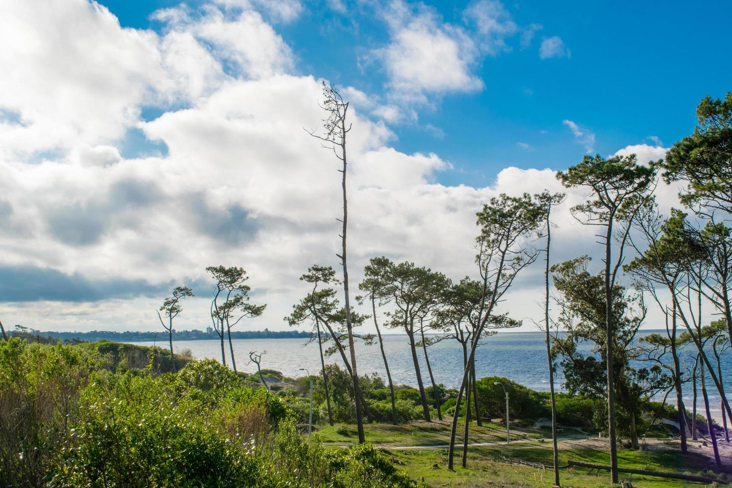 uruguay strandlandschap foto