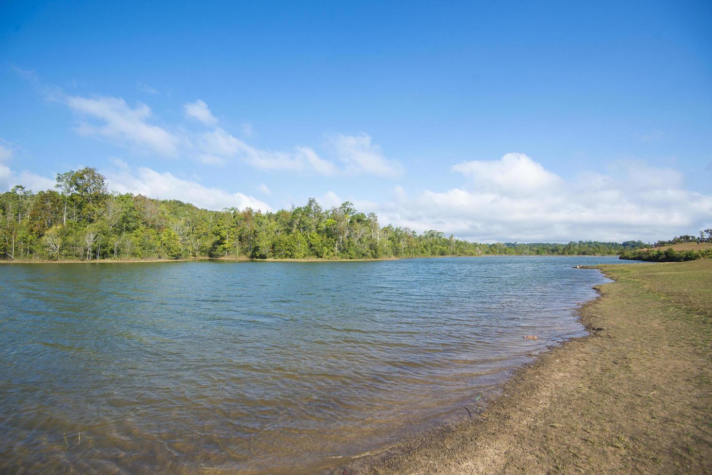 prachtig uitzicht op bos met meer tegen blauwe lucht foto