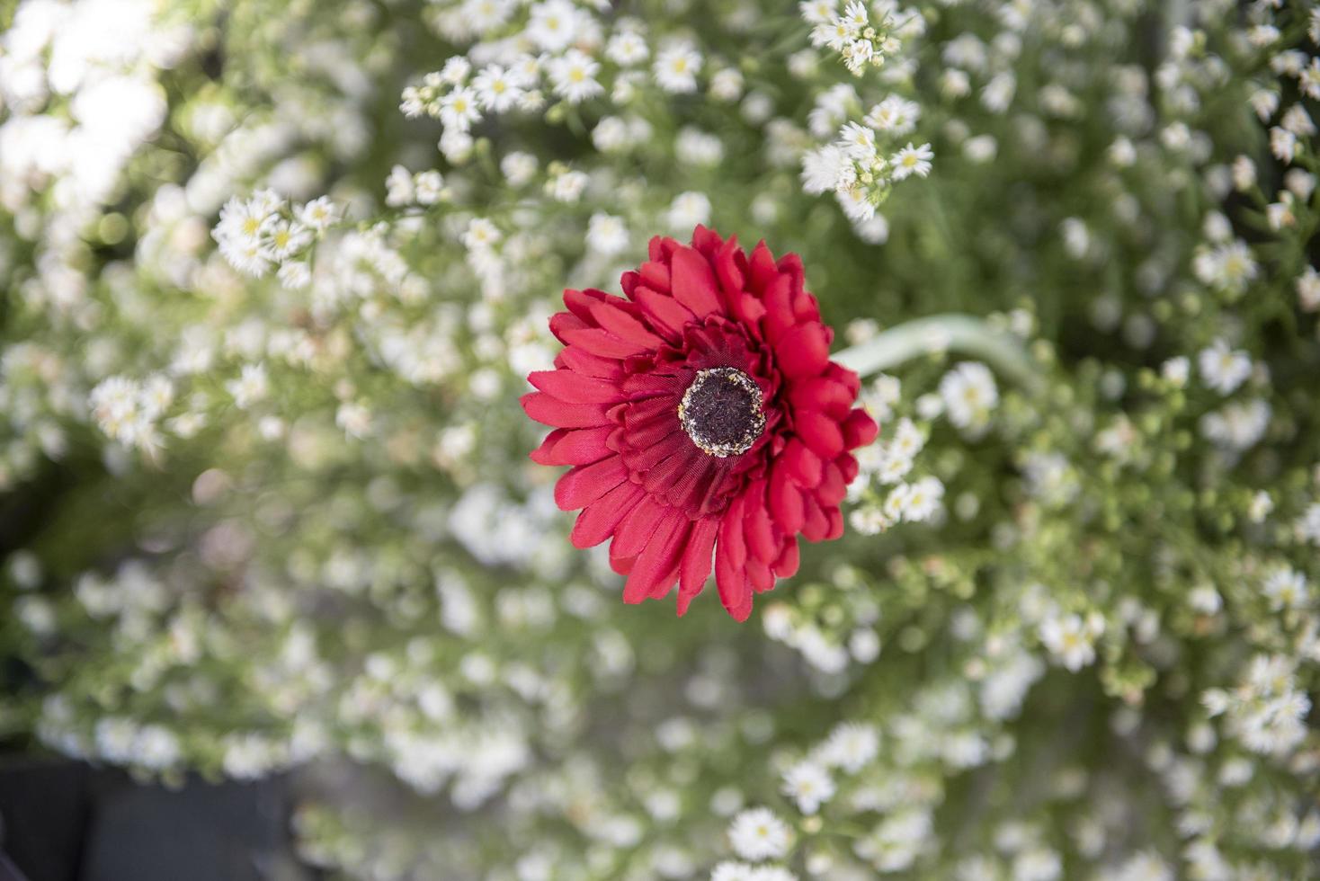 witte huwelijksdecoratie en roze bloem foto