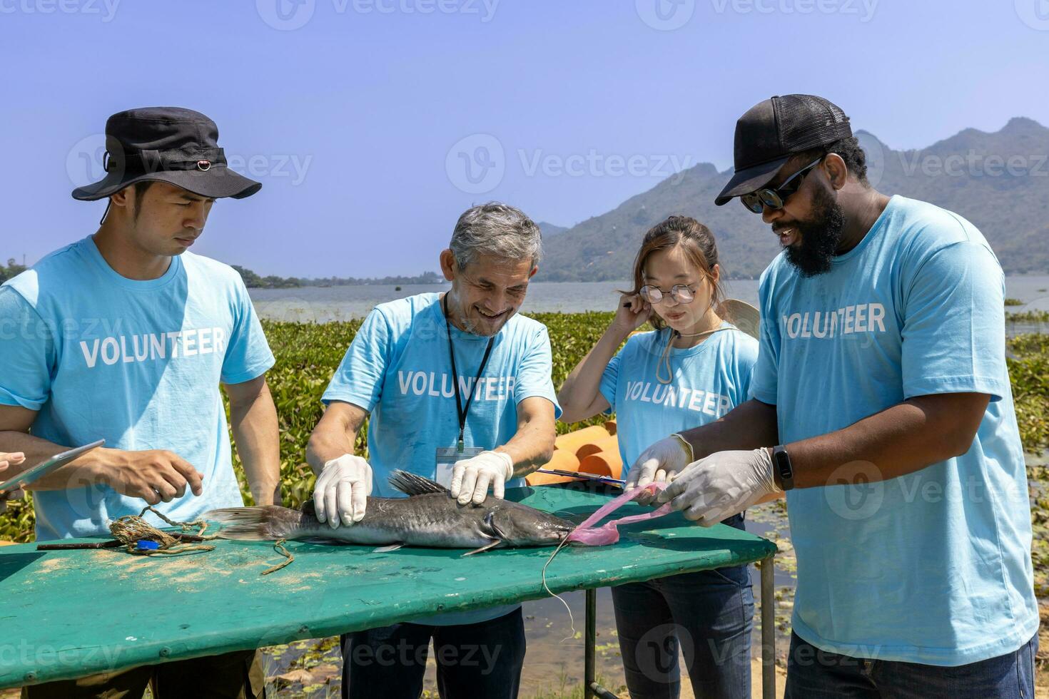 team van ecoloog vrijwilliger trekken niet biologisch afbreekbaar micro plastic van de in gevaar brengen soorten vis ten gevolge naar de onverantwoordelijk verspilling rommel in de oceaan voor klimaat verandering en besparing natuur foto