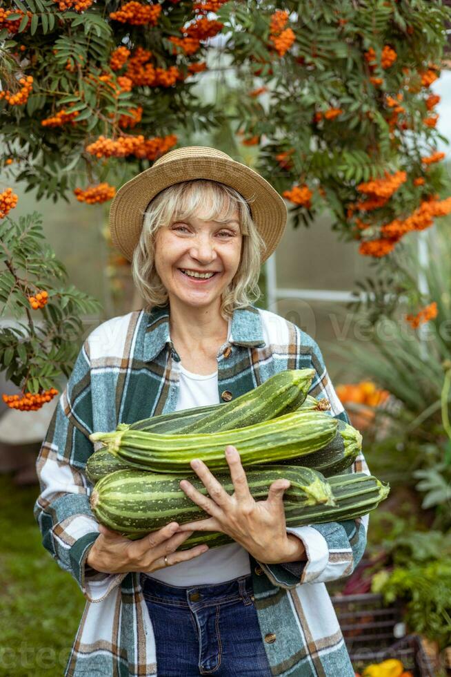 boer Holding een groot Bijsnijden van courgette foto