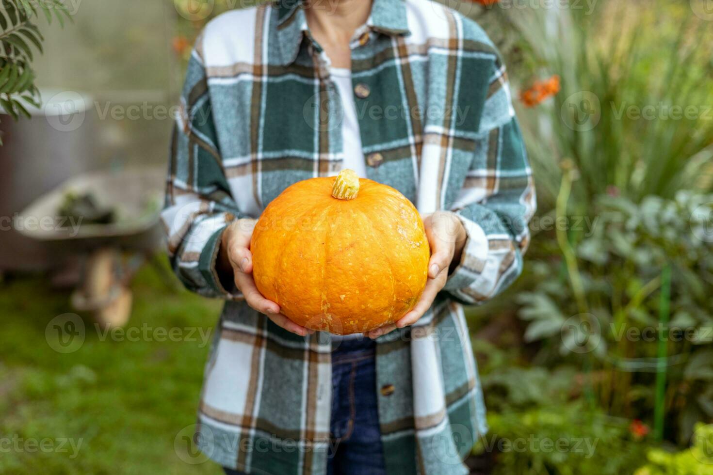 helder rijp pompoen in vrouwen handen. concept herfst oogst, halloween partij, dankzegging dag. foto