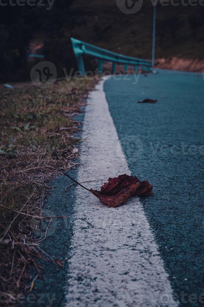 rood droog boomblad in het herfstseizoen foto