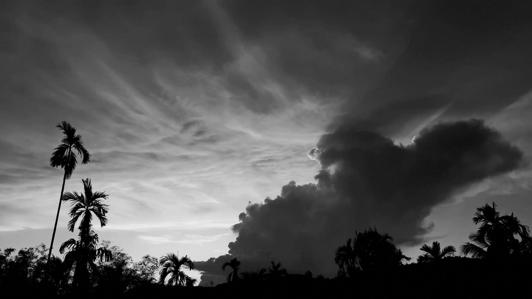mooi landschap met zag bergen, betel palm kokosnoot bomen, zwart en wit lucht wijnoogst concept. foto
