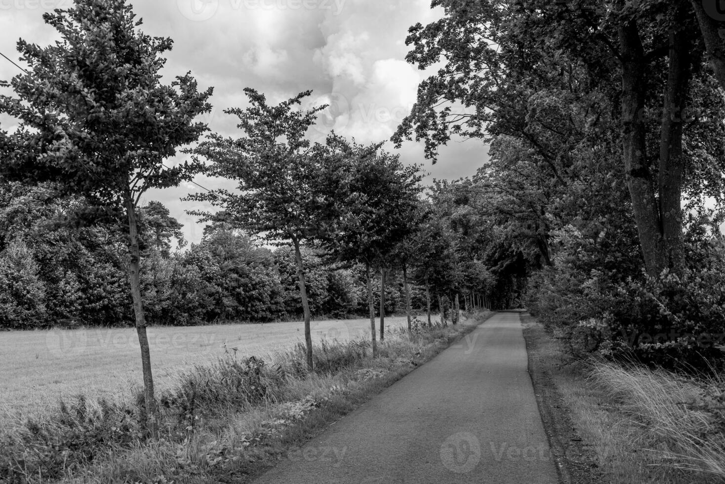 zomer tijd in Westfalen foto