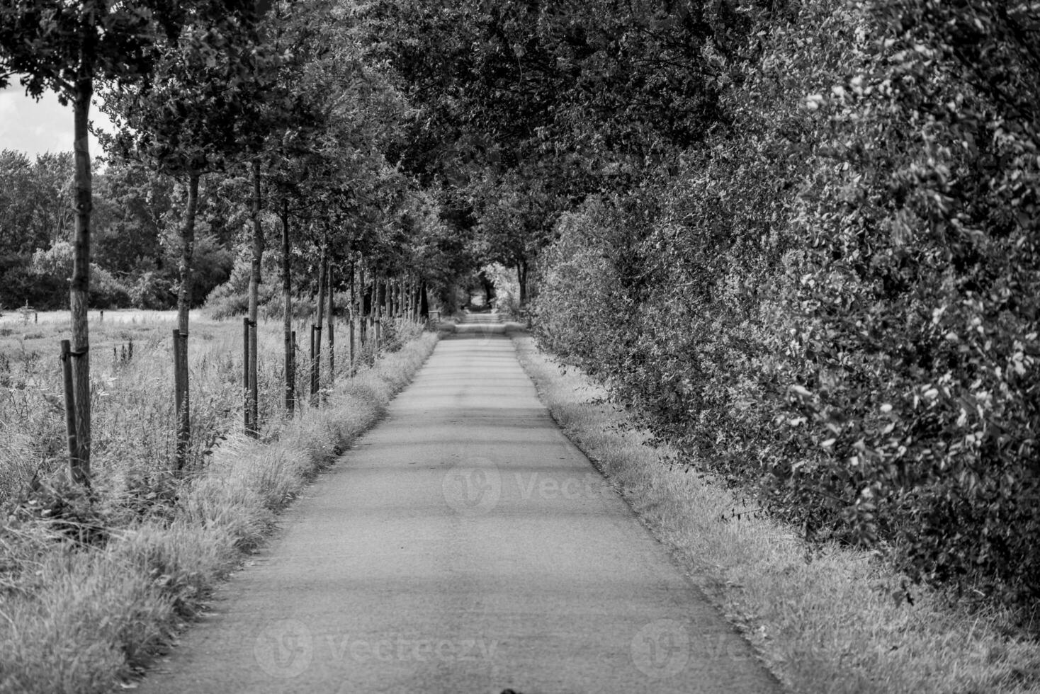 zomer tijd in de Duitsland Westfalen foto