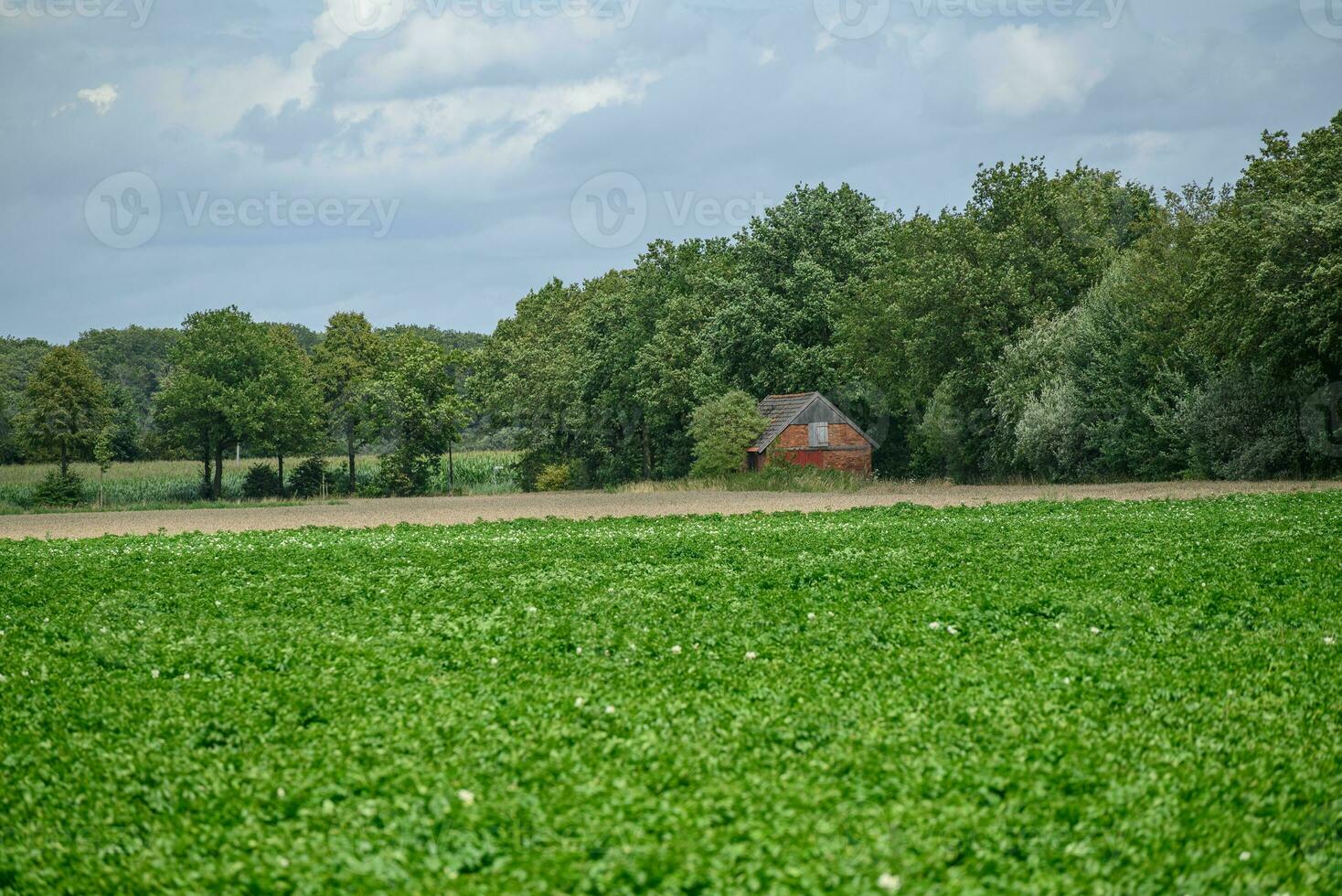 laat zomer in Westfalen foto