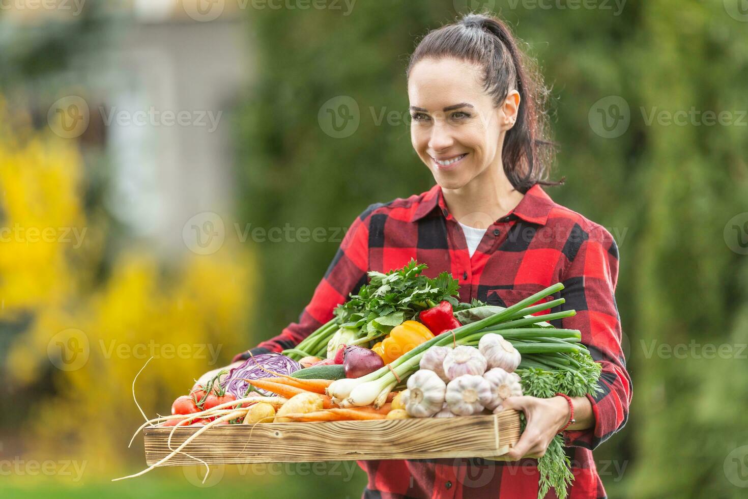 mooi donker haren boerderij vrouw Holding de houten mand vol van vers gezond van eigen bodem groenten van de tuin foto