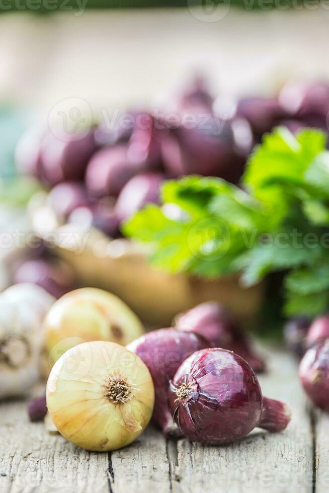 rood ui in bronzen kom knoflook selderij kruiden en koolraap Aan tuin tafel - top van visie. detailopname vers gezond groente foto