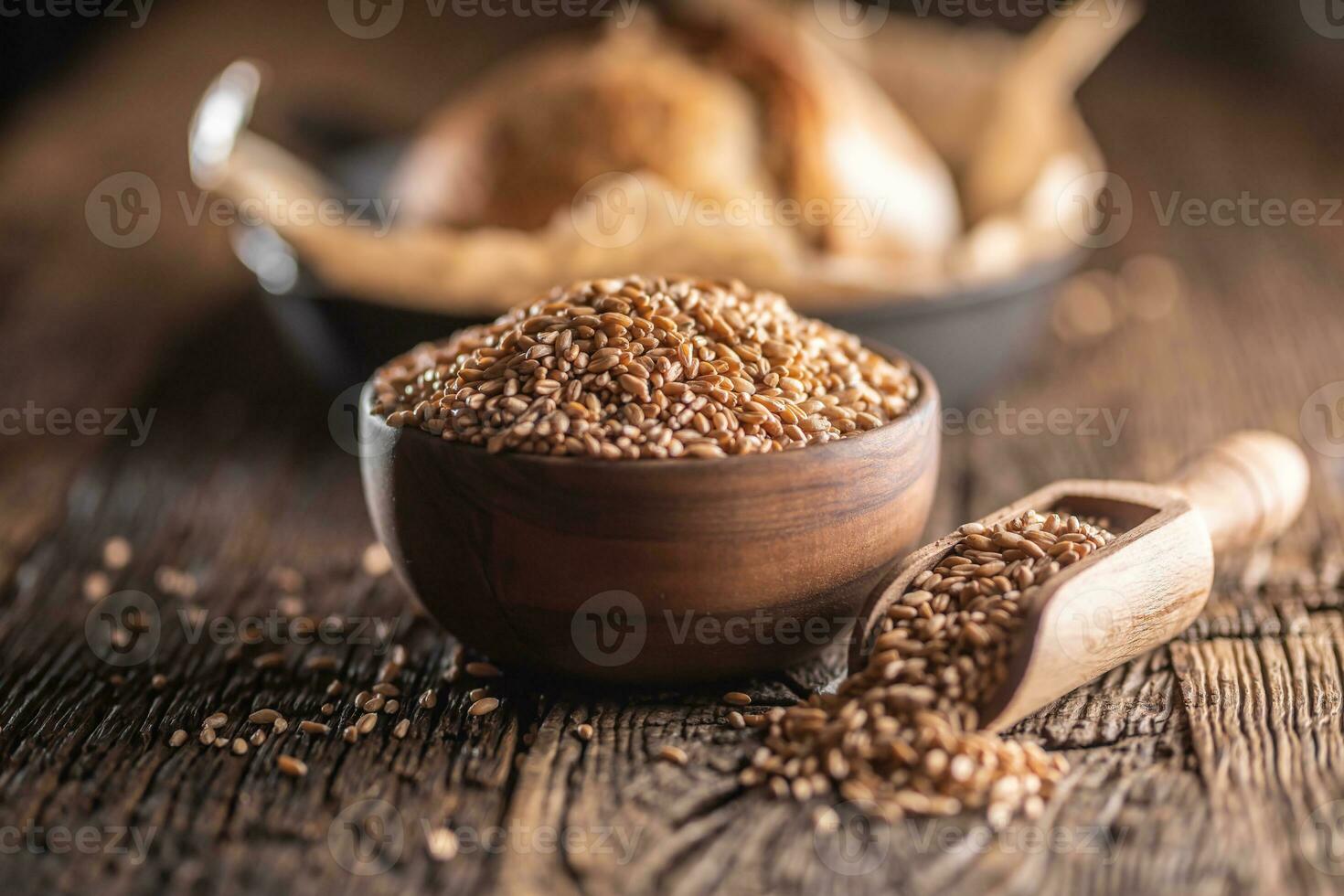 tarwe granen-de hoofd ingrediënt van de brood gevulde in houten kom en houten rustiek lepel. gebakken knapperig brood in de backround foto