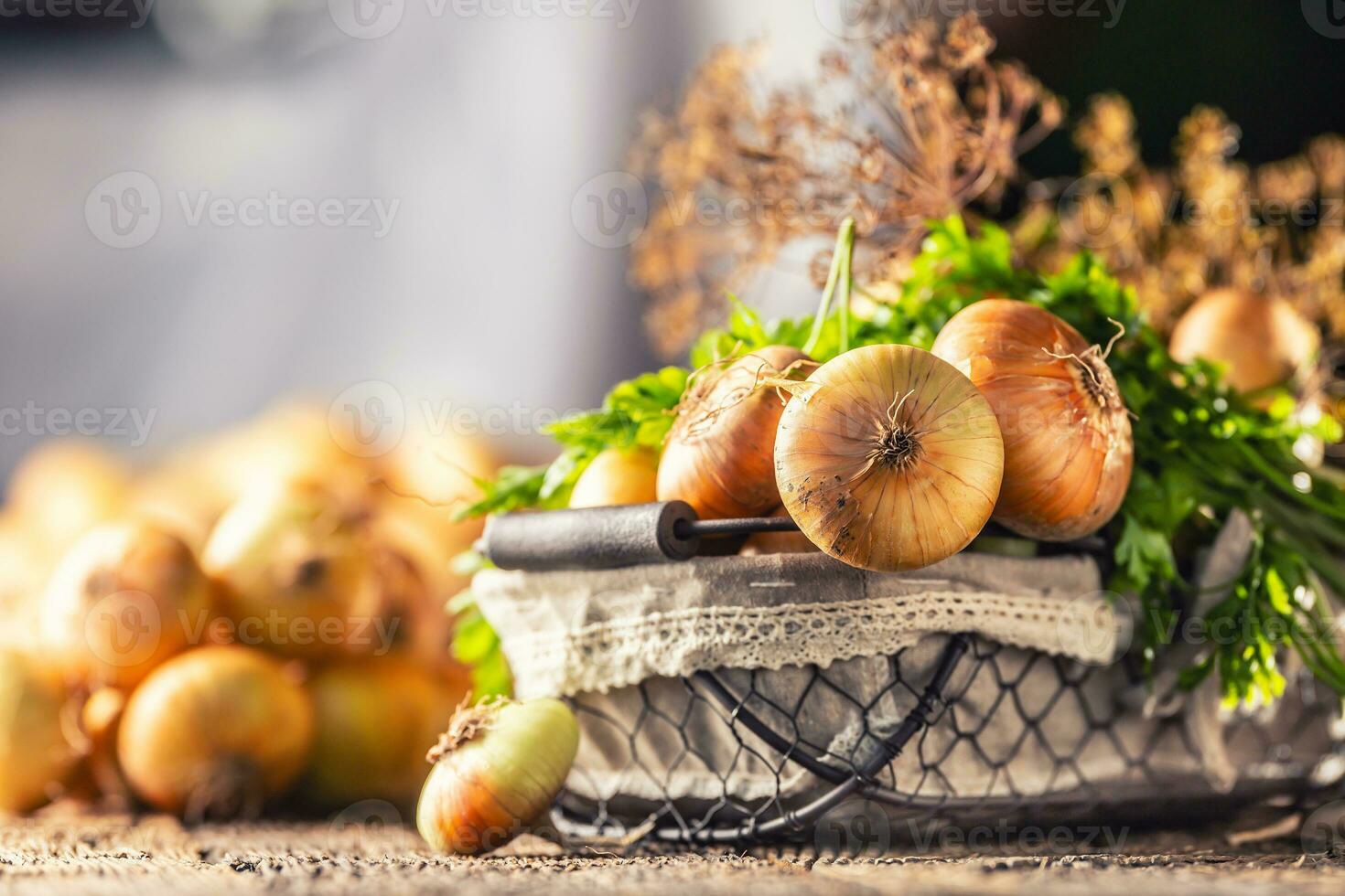 bundel van vrij aan het liegen droog ui met peterselie kruiden en dille in mand Aan een houten tafel foto