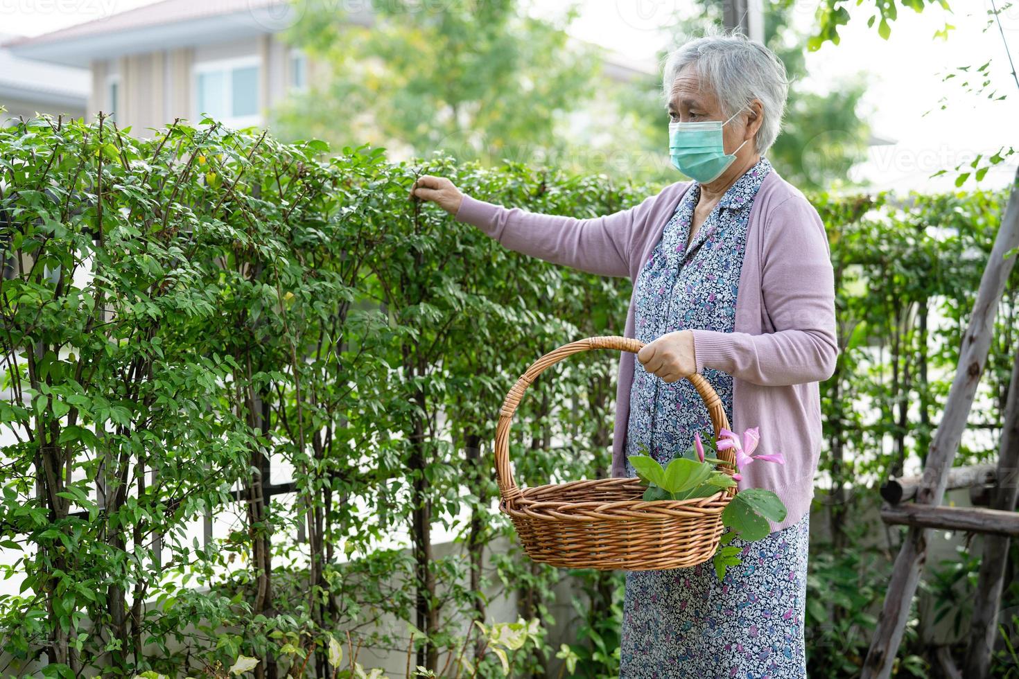 aziatische senior of oudere oude dame die voor het tuinwerk thuis zorgt, hobby om te ontspannen en te oefenen met gelukkig. foto