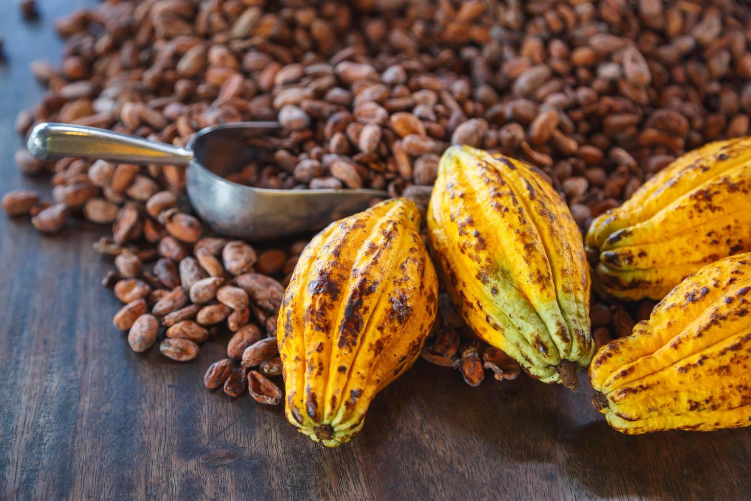 cacao peulen en cacaobonen op een houten ondergrond foto