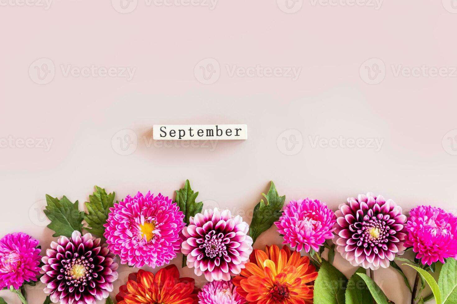 feestelijk herfst achtergrond voor de vakantie. grens van helder dahlia hoofden en september tekst van een houten kalender Aan een pastel achtergrond. foto