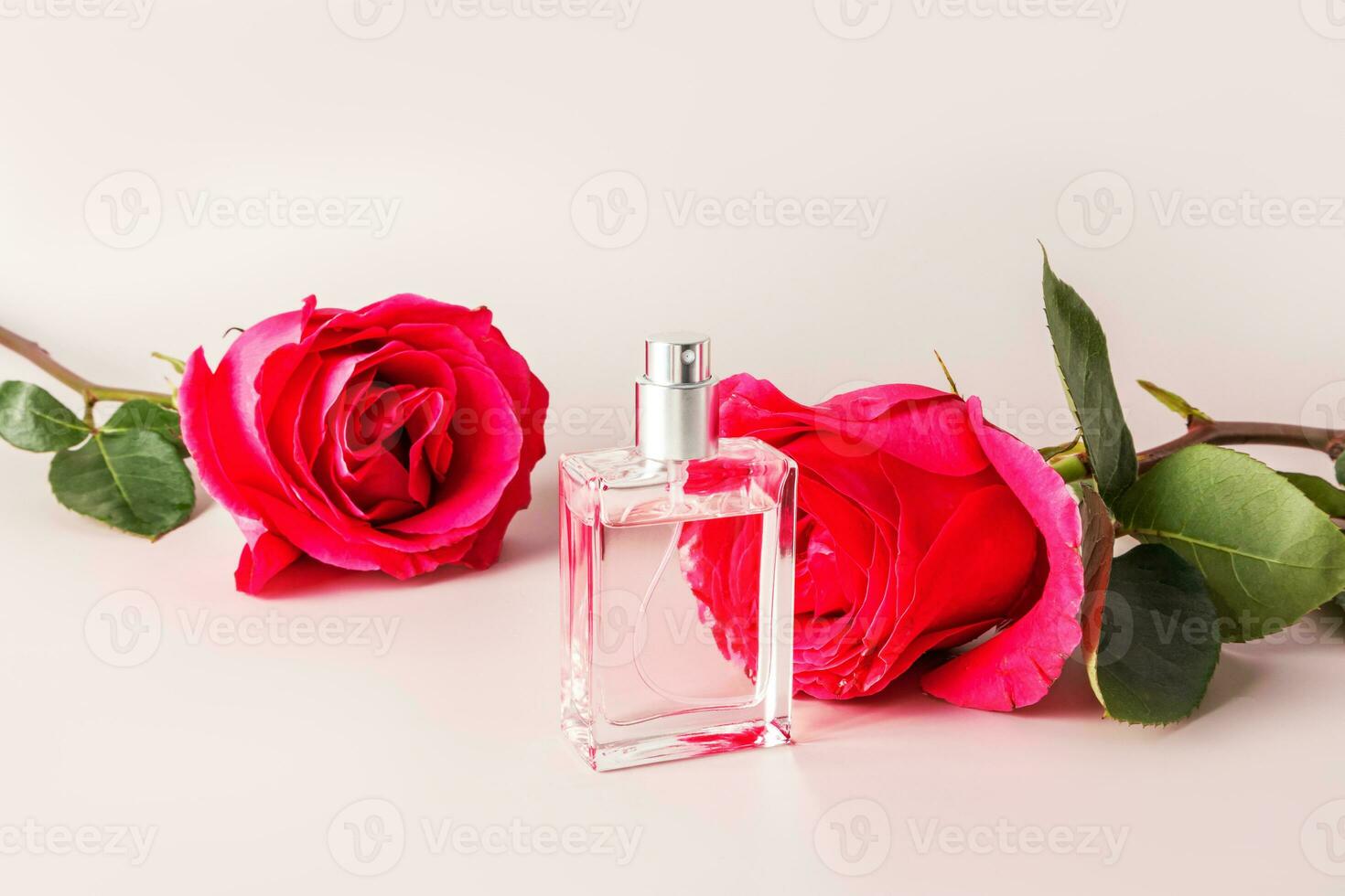 een mooi fles van parfum of kunstmatig verstuiven Aan de achtergrond van een besnoeiing rood thee roos. de concept van parfumerie en schoonheid. blanco fles indeling. foto