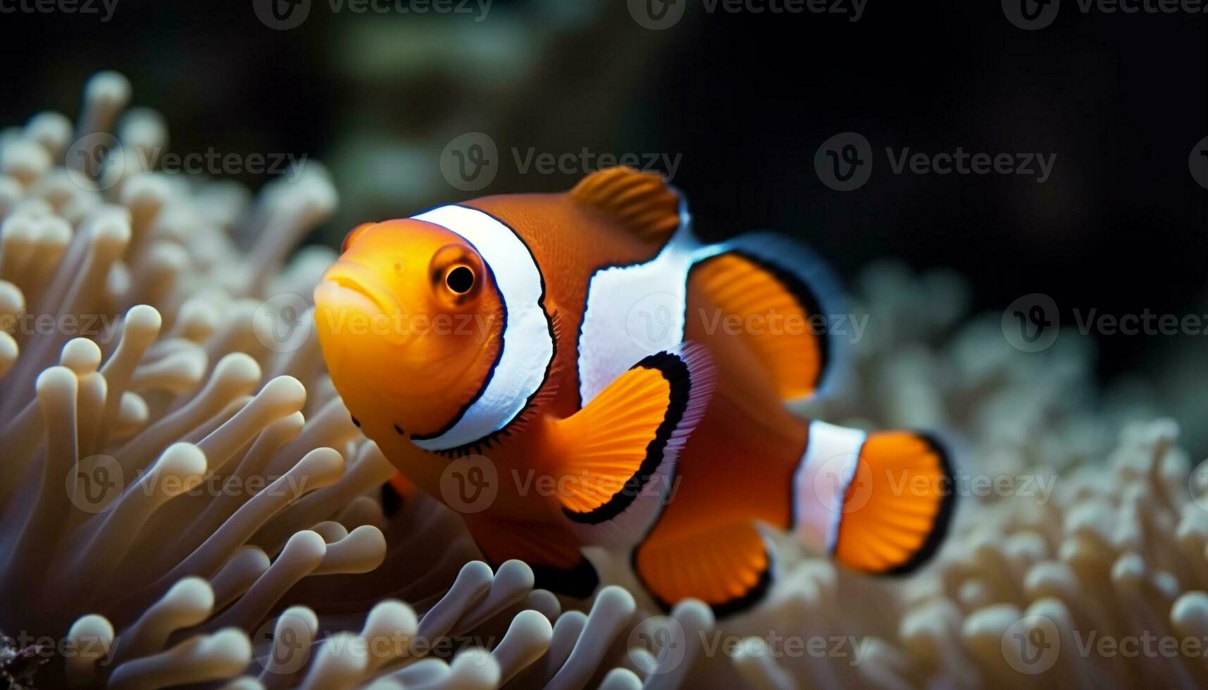 clown vis zwemmen in levendig rif, presentatie van natuurlijk schoonheid gegenereerd door ai foto