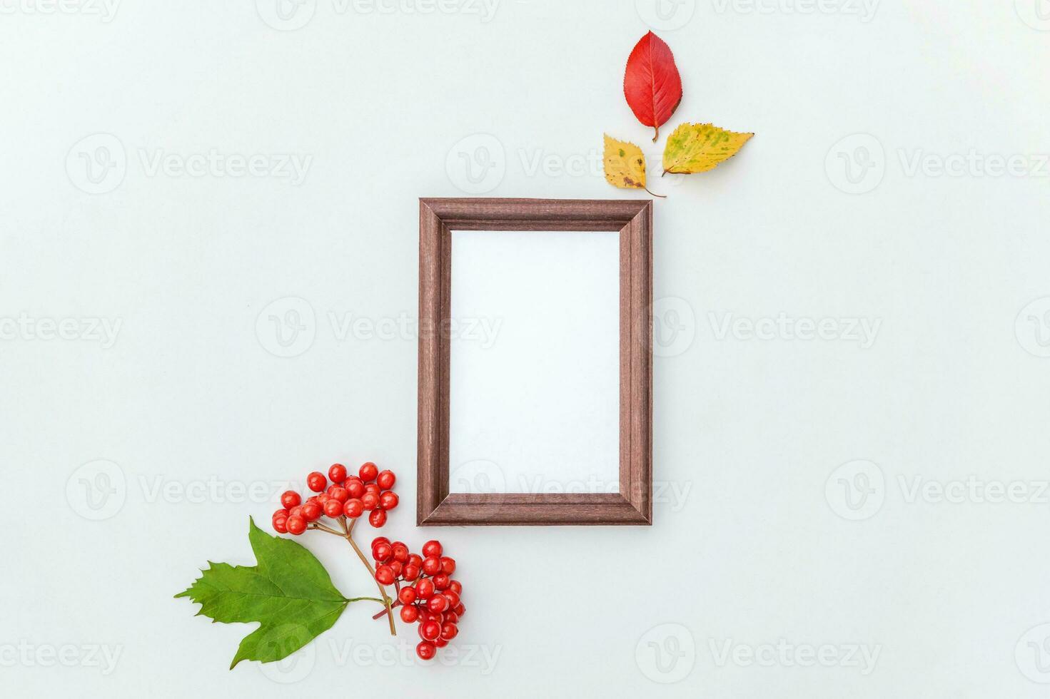 herfst bloemen samenstelling. verticaal foto kader mockup viburnum bessen kleurrijk bladeren Aan wit achtergrond. vallen natuurlijk planten ecologie vers behang concept. vlak leggen top visie, kopiëren ruimte