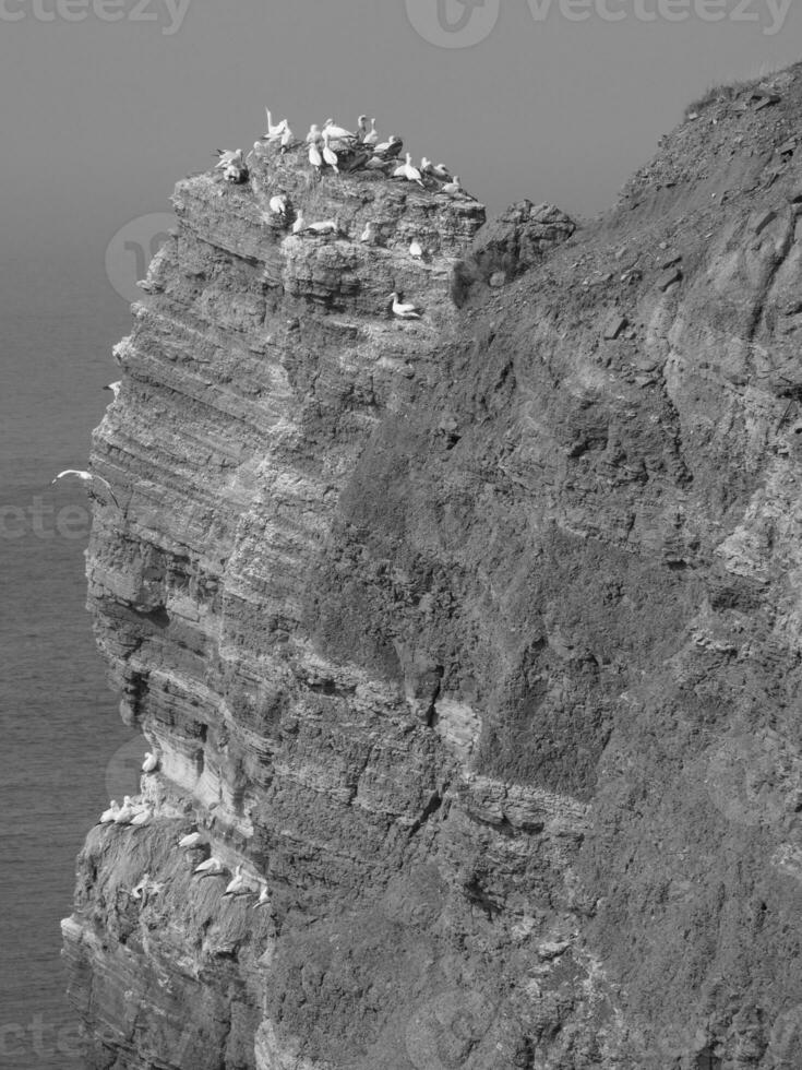 Helgoland eiland in de Noordzee foto