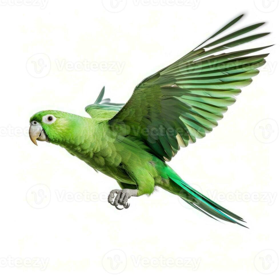groen papegaai geïsoleerd Aan wit achtergrond. generatief ai foto